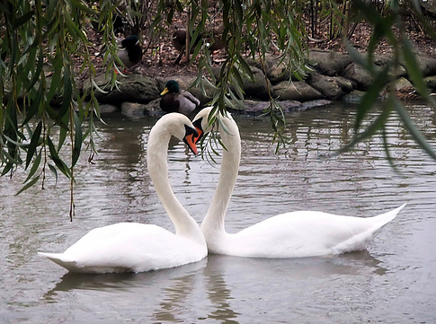 Screen Shot 2016-09-17 at 12.44.32 PM.png