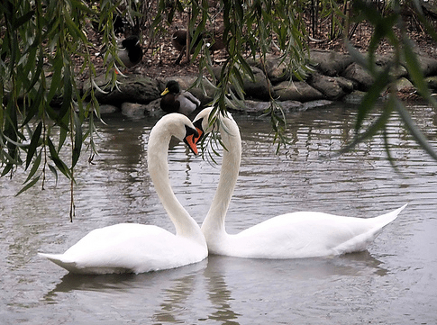 Screen Shot 2016-09-17 at 12.44.32 PM.png